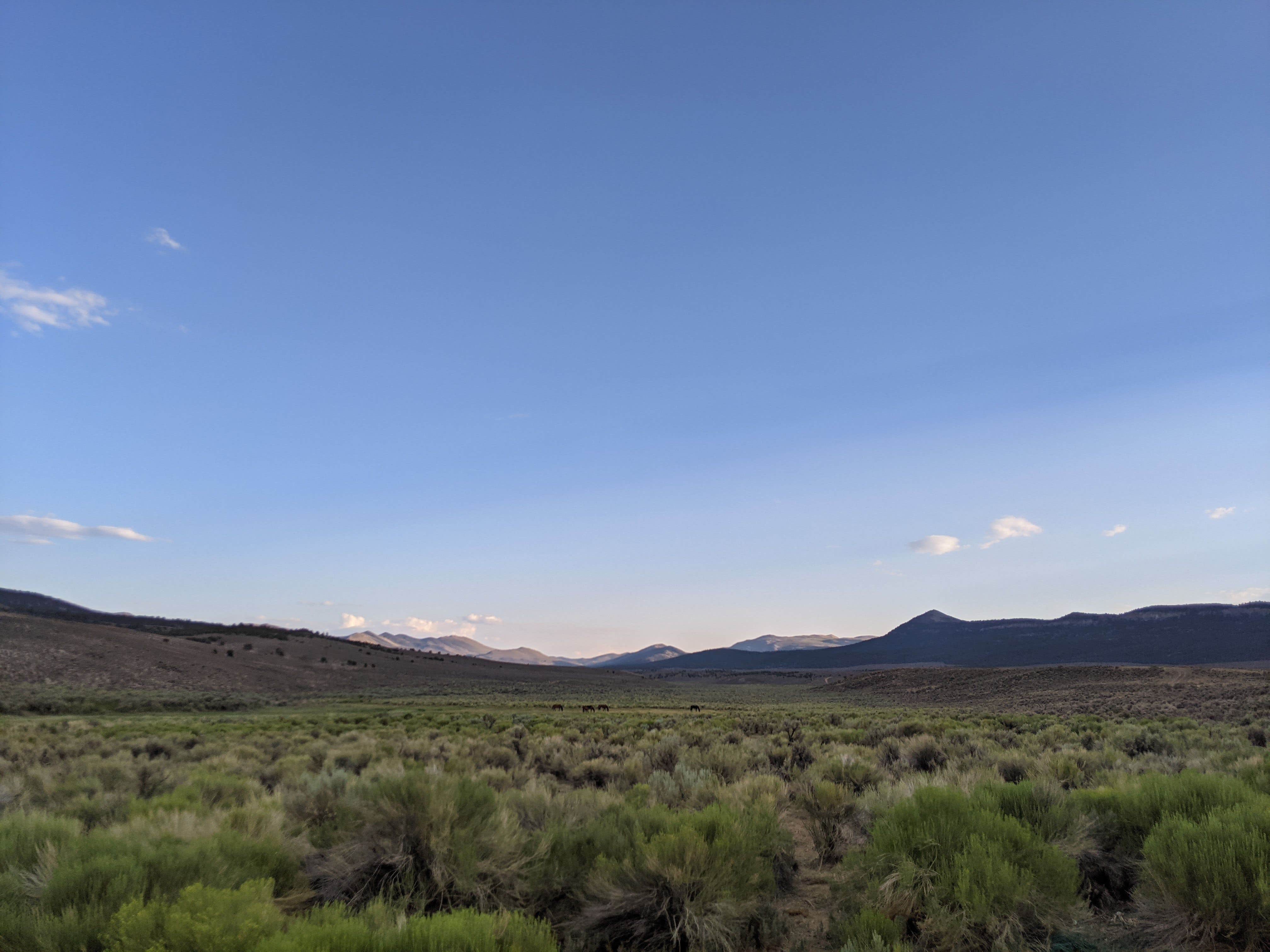 Camper-submitted photo at Illipah Reservoir Recreation Area near Duckwater, NV