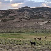 Review photo of Illipah Reservoir Recreation Area by Daniel V., August 15, 2021