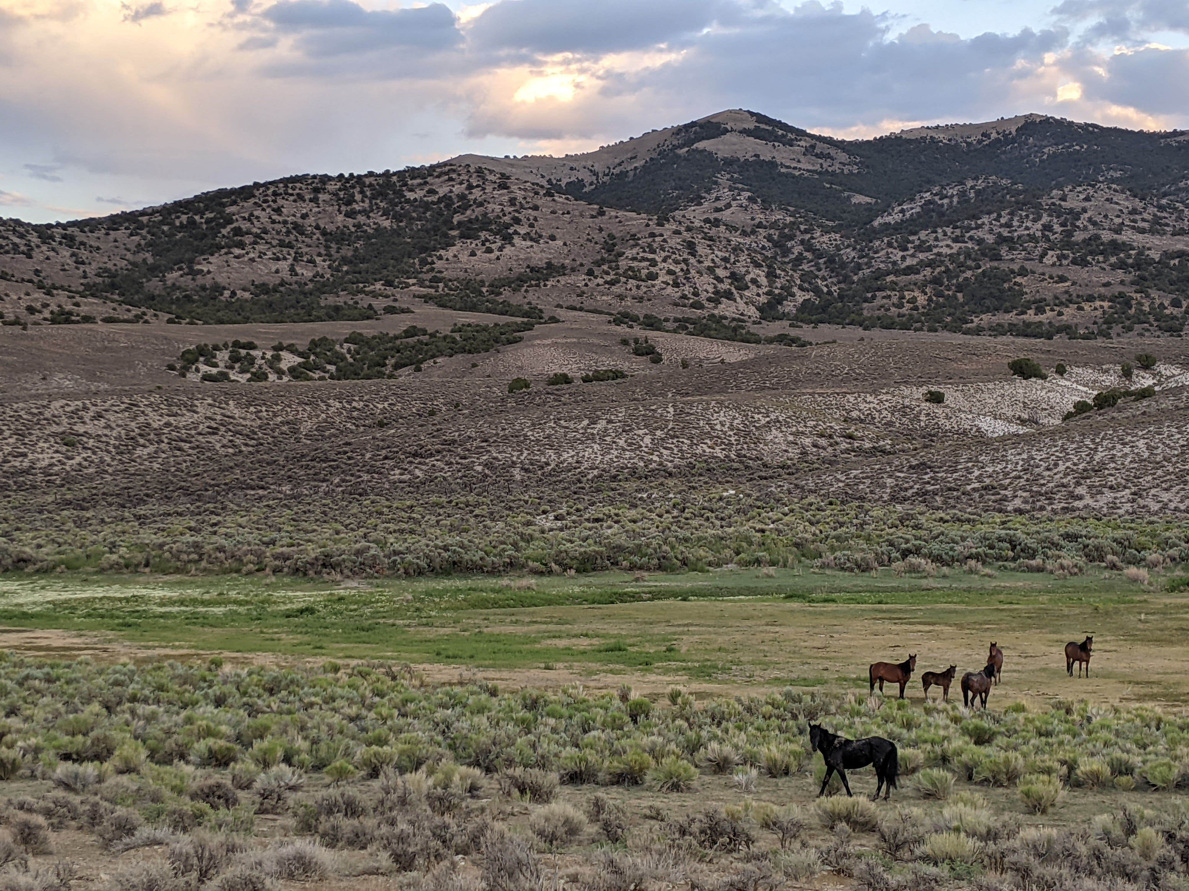 Camper submitted image from Illipah Reservoir Recreation Area - 3