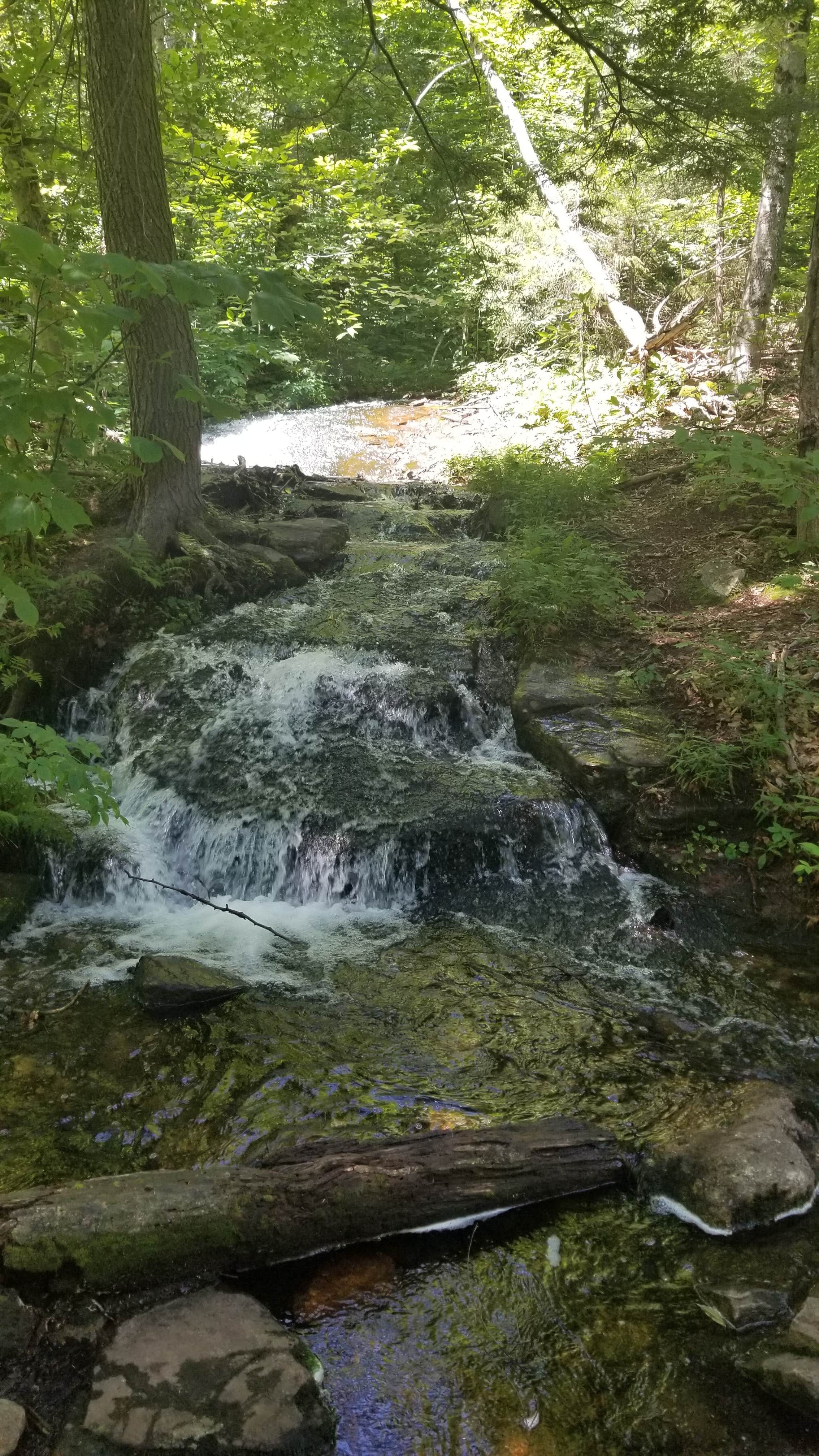Camper-submitted photo at Shenango Campground near Poland, OH