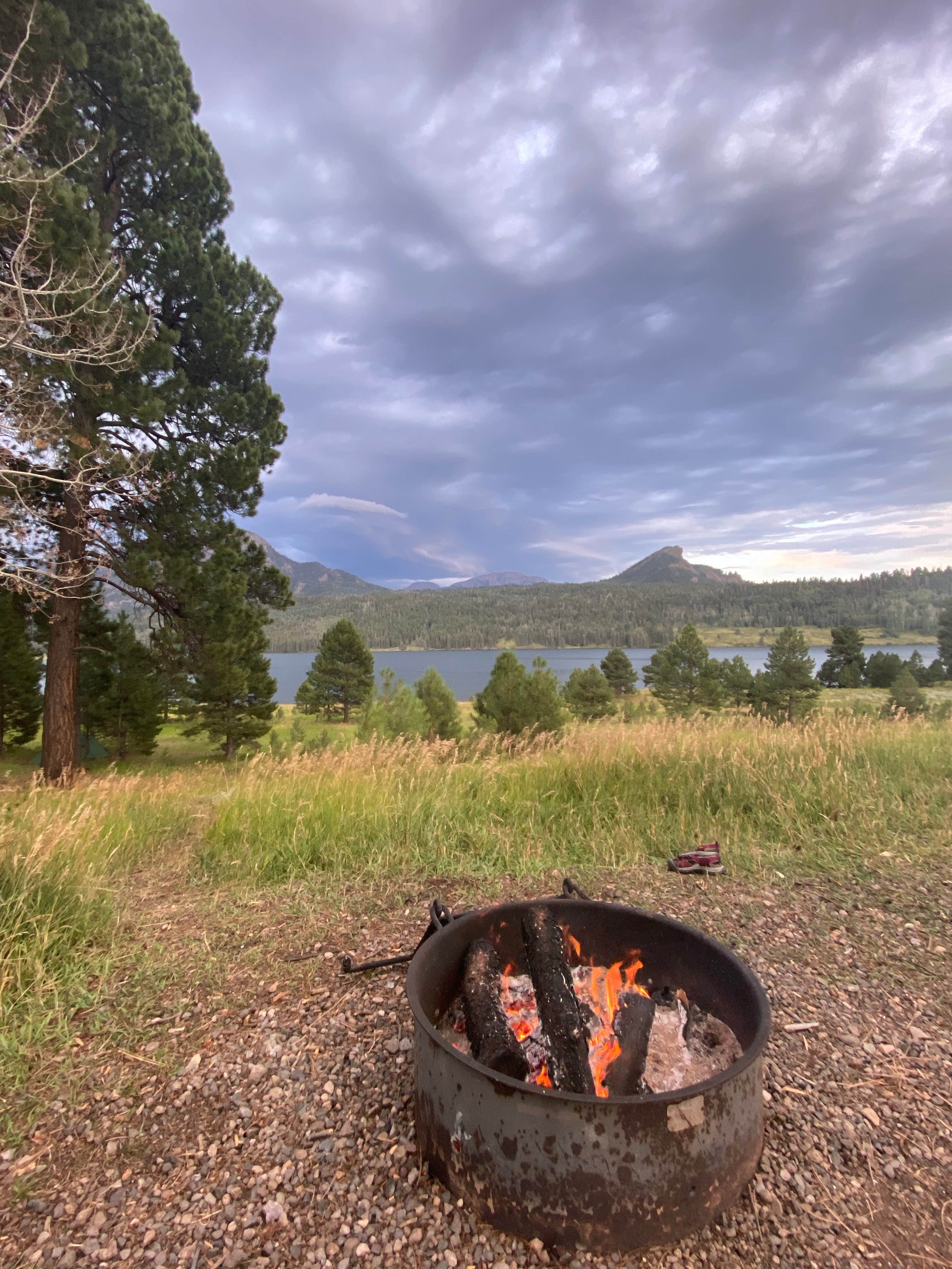Camper-submitted photo at Teal Campground near Pagosa Springs, CO