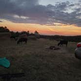 Review photo of Forest Service Road 700 Designated Dispersed Camping by Kelly M., August 16, 2021