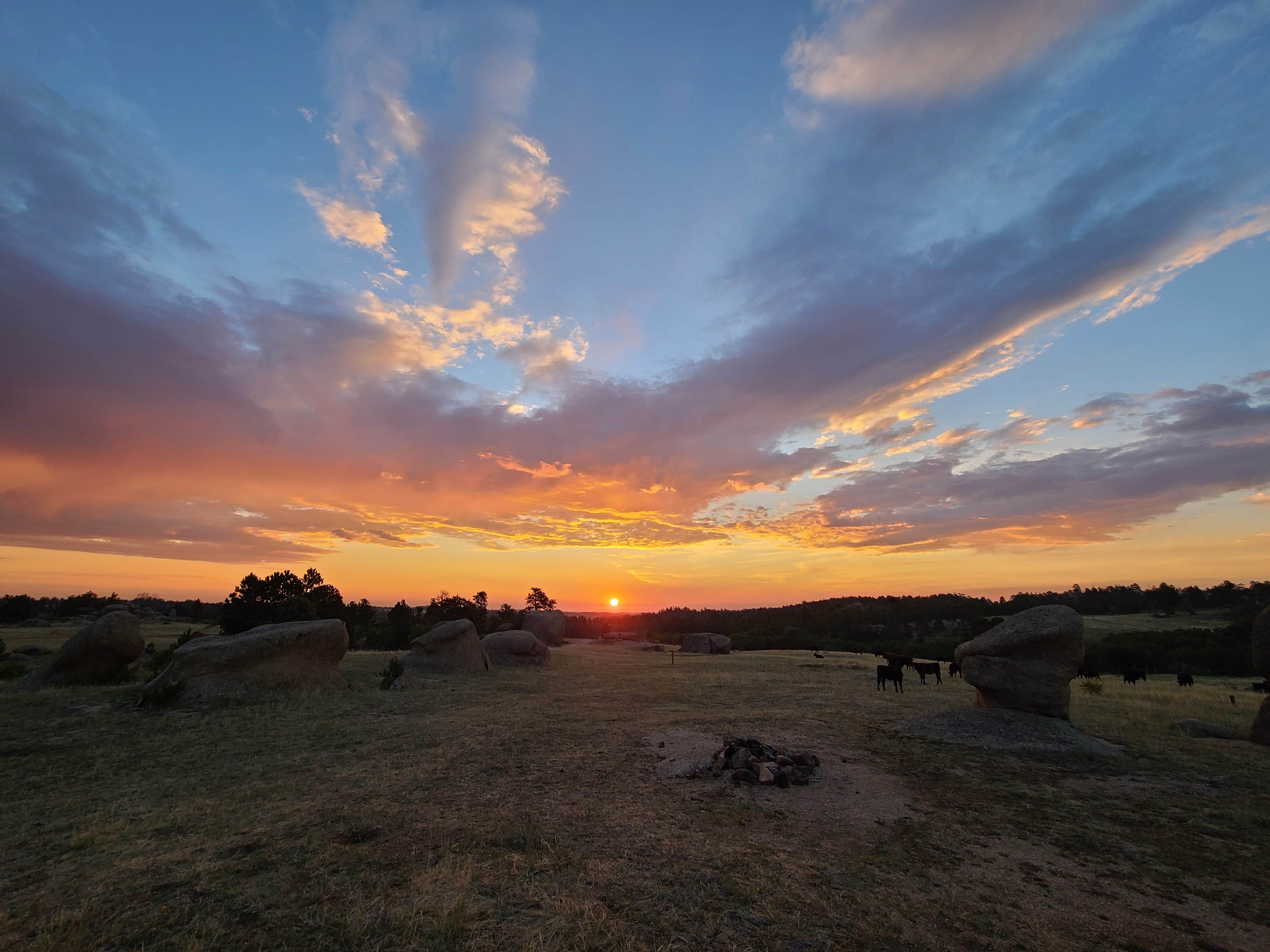 Kelly M.'s photo of a dispersed camping area at Forest Service Road 700 Designated Dispersed Camping near Wellington, CO