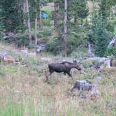 Review photo of Pinnacles Campground - Brooks Lake by Kelly M., August 16, 2021