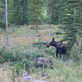 Review photo of Pinnacles Campground - Brooks Lake by Kelly M., August 16, 2021