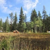 Review photo of Beaverhead National Forest Grasshopper Campground and Picnic Area by Mitch G., August 16, 2021
