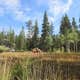 Beaverhead National Forest Grasshopper Campground and Picnic Area