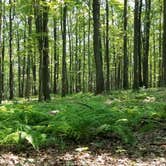 Review photo of Clear Creek State Park Campground by Rosie Lon S., August 16, 2021