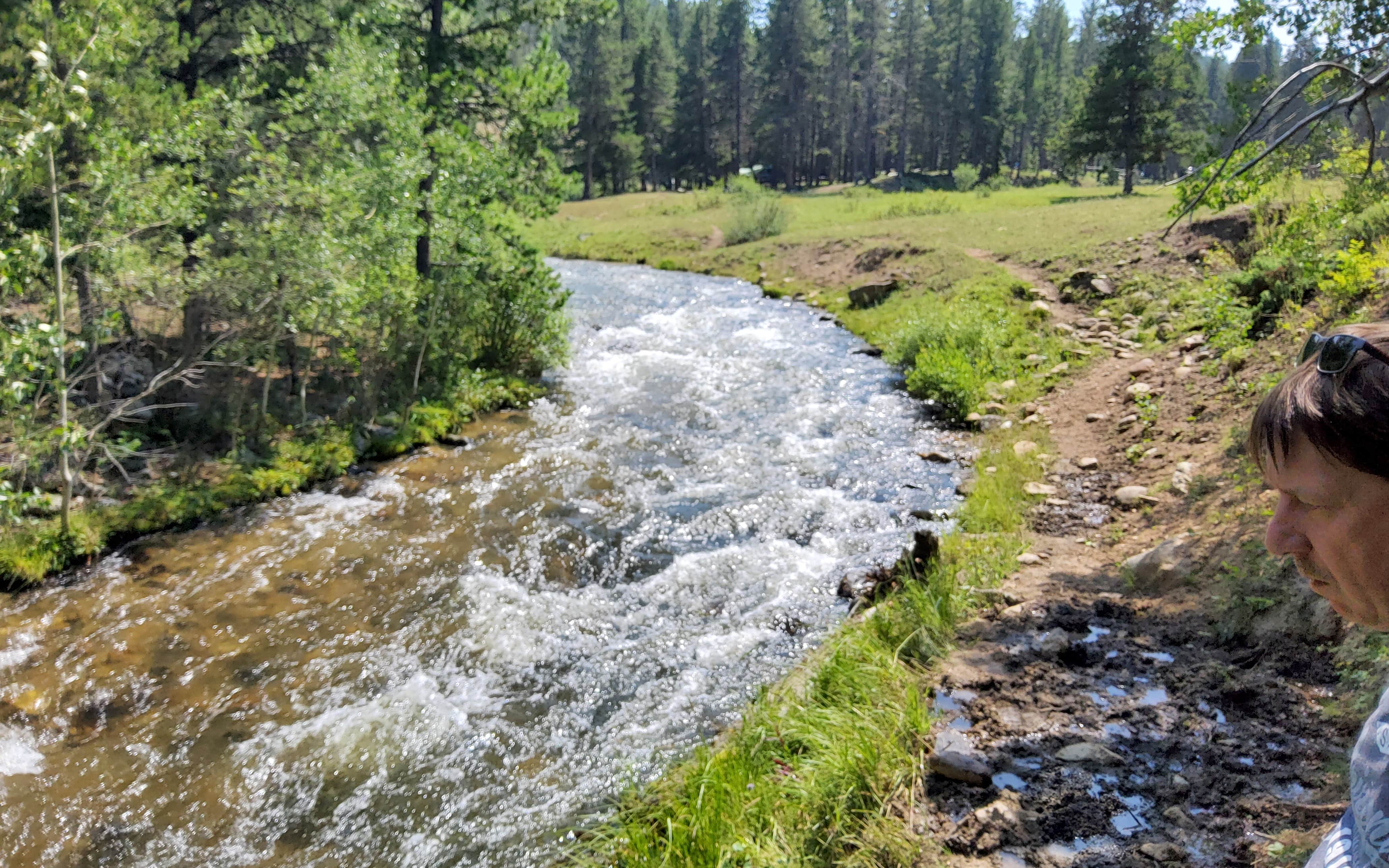 Camper-submitted photo at Little Goose Campground near Sheridan, WY