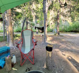 Camper-submitted photo from Little Goose Campground