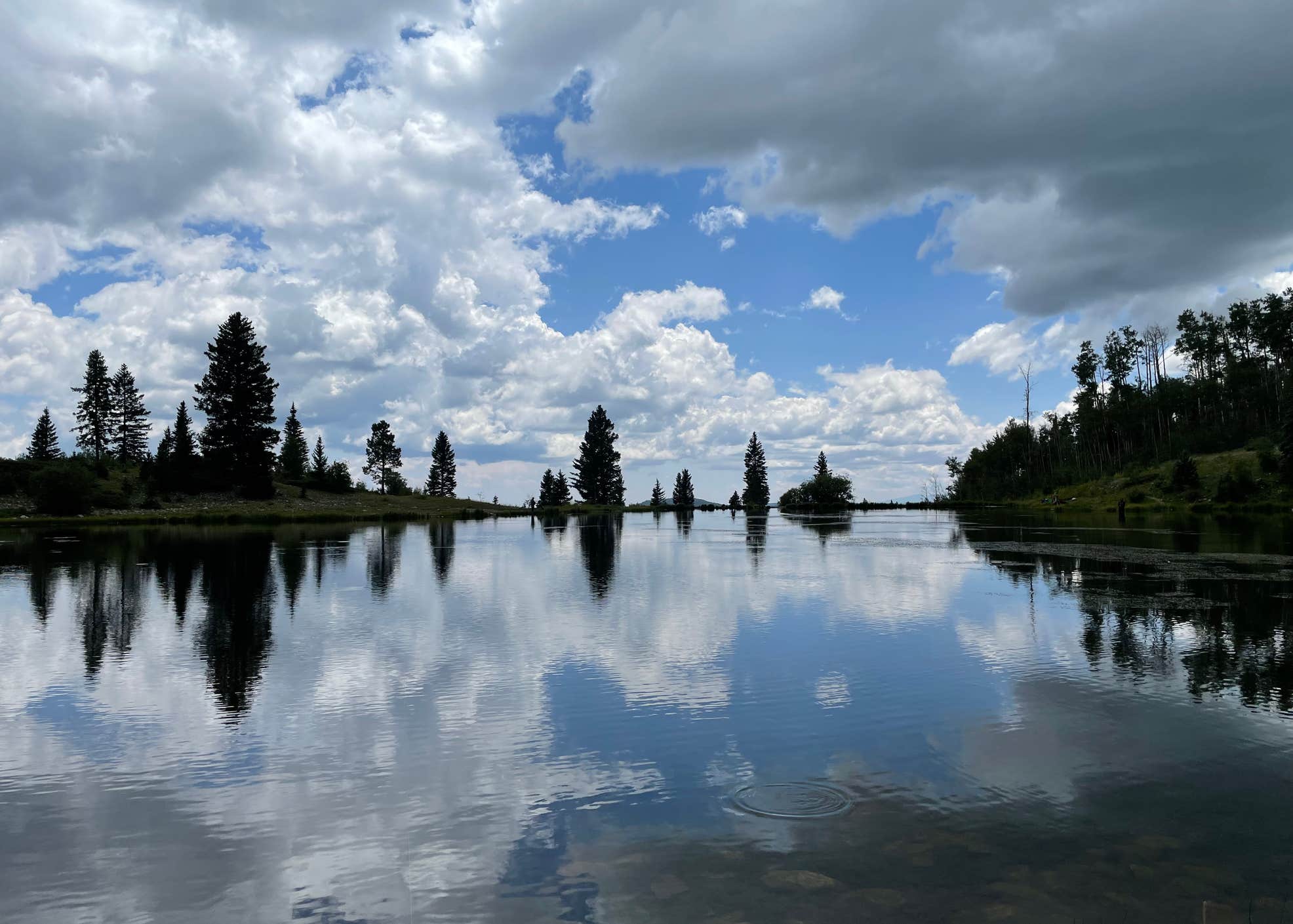 Middle Canjilon Campground Camping The Dyrt