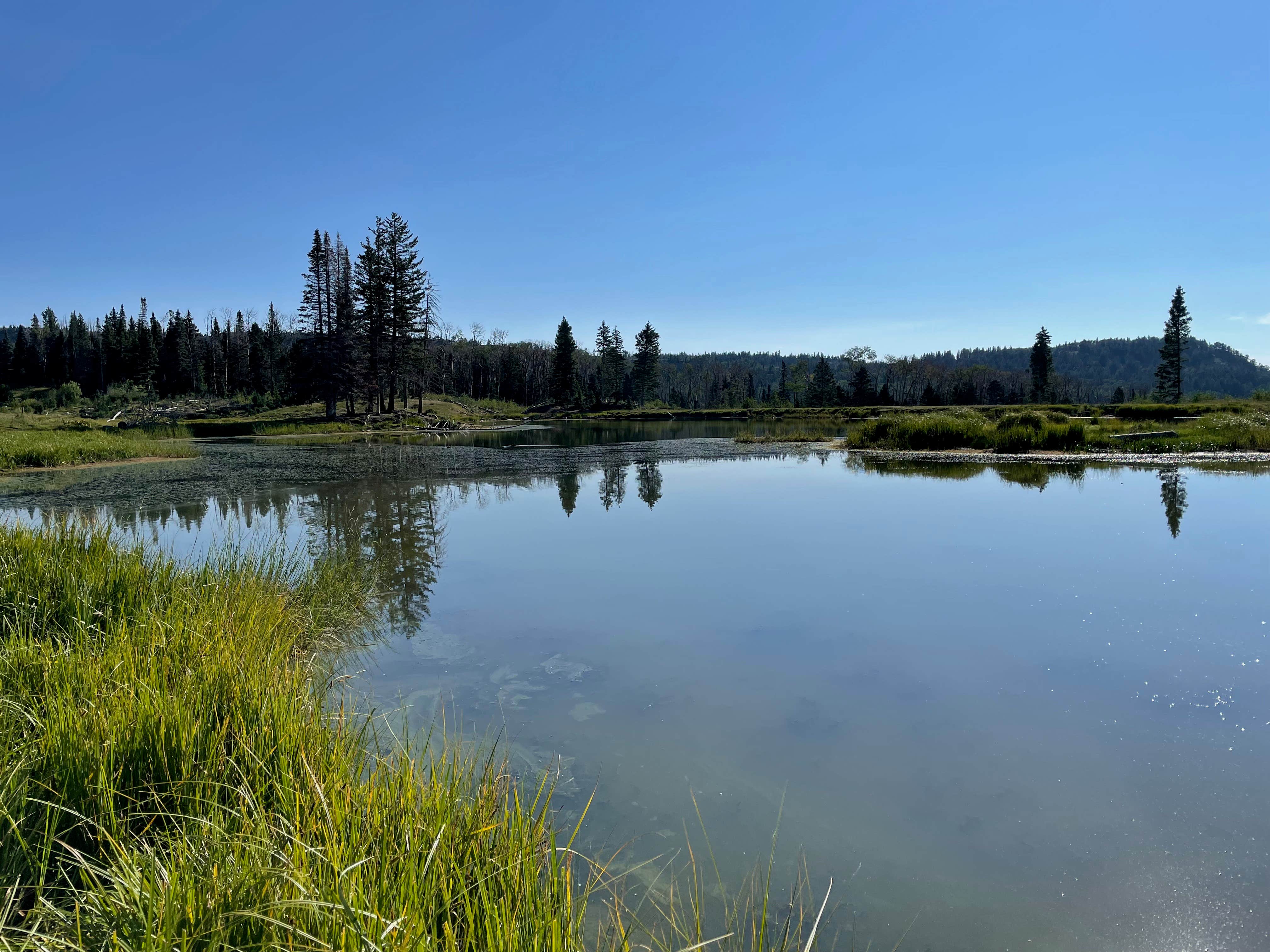Best camping in Carson National Forest The Dyrt