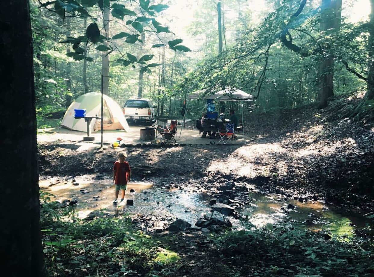 Camper submitted image from Cave Mountain Lake Group Camp — George Washington & Jefferson National Forest - 2