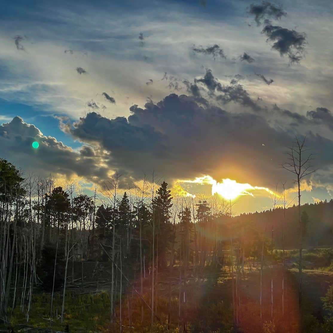 Middle Canjilon Campground Camping The Dyrt