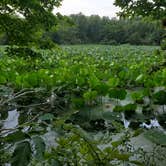 Review photo of Cowan Lake State Park Campground by Stephanie , August 16, 2021