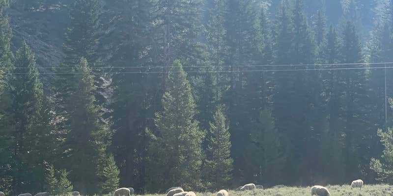 Camper submitted image from East Fork Baker Creek Campground