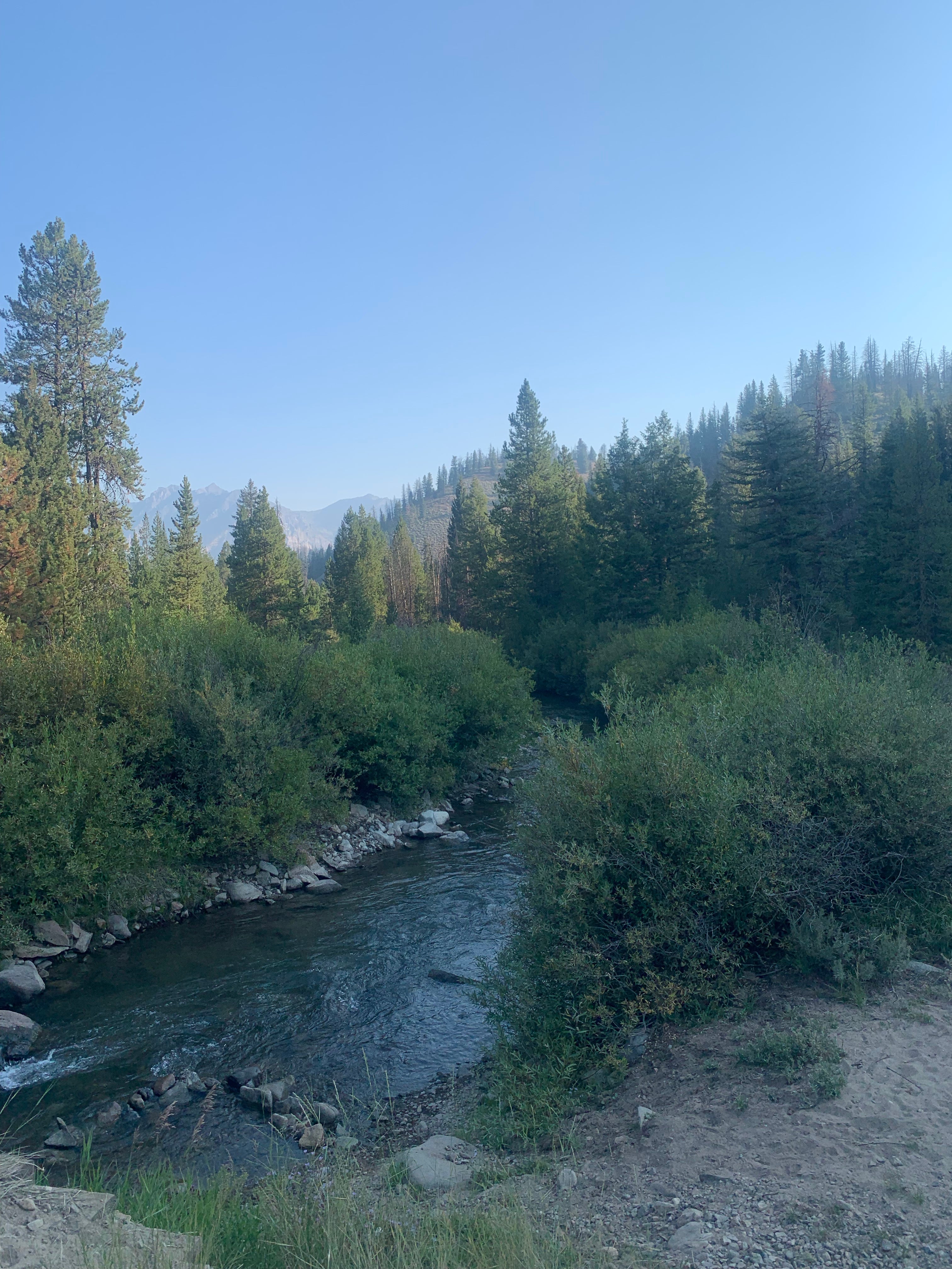 Camper submitted image from East Fork Baker Creek Campground - 2