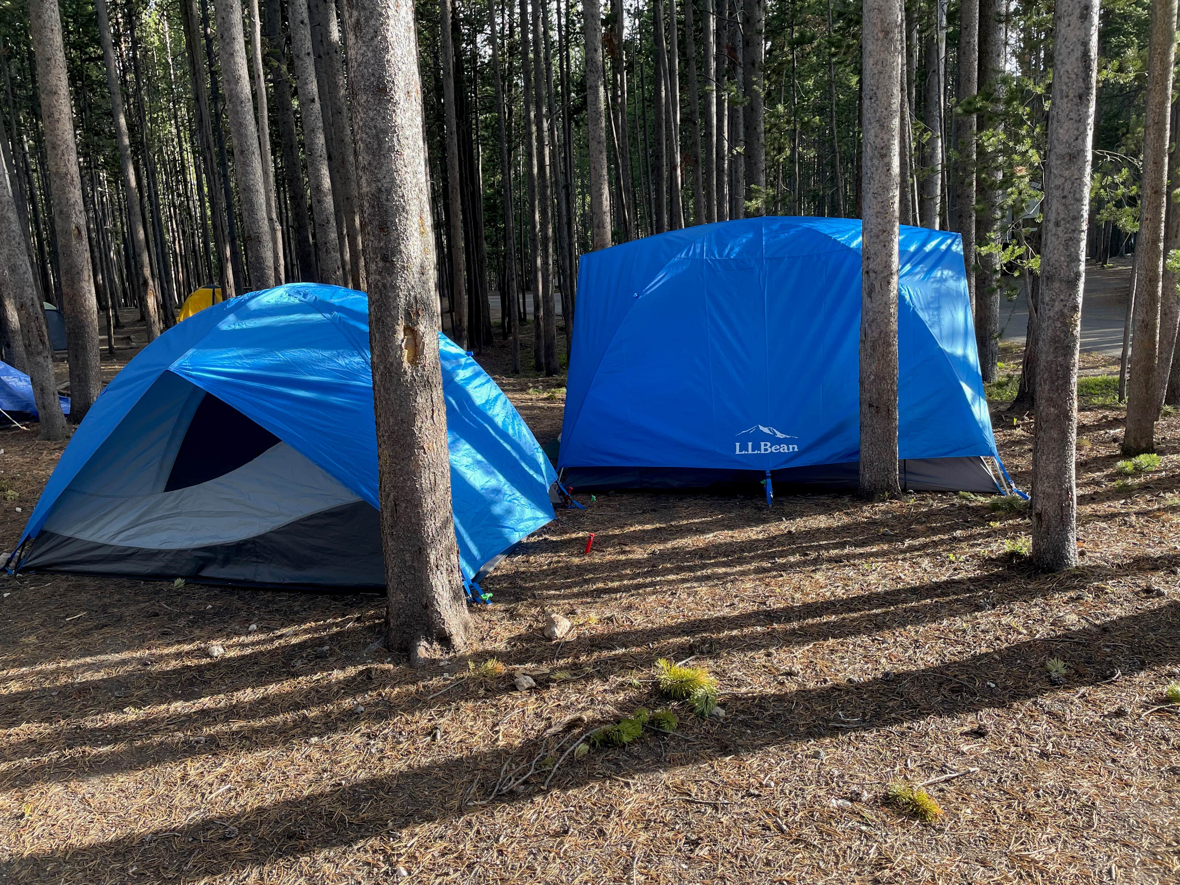 LoneCamper C.'s photo at Canyon Campground — Yellowstone National Park near Yellowstone National Park