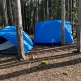 Review photo of Canyon Campground — Yellowstone National Park by LoneCamper C., August 16, 2021