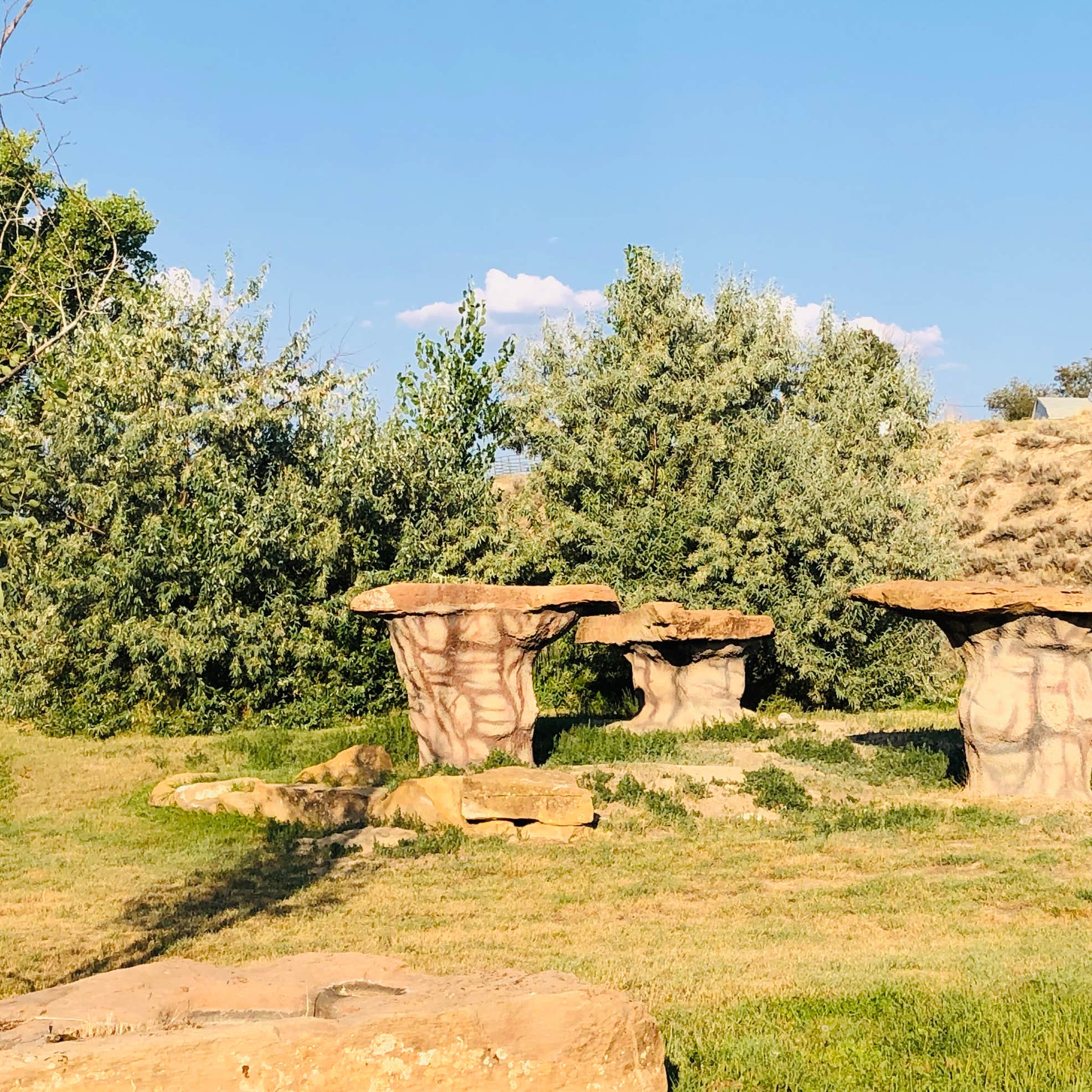 Rangely Camper Park Camping The Dyrt