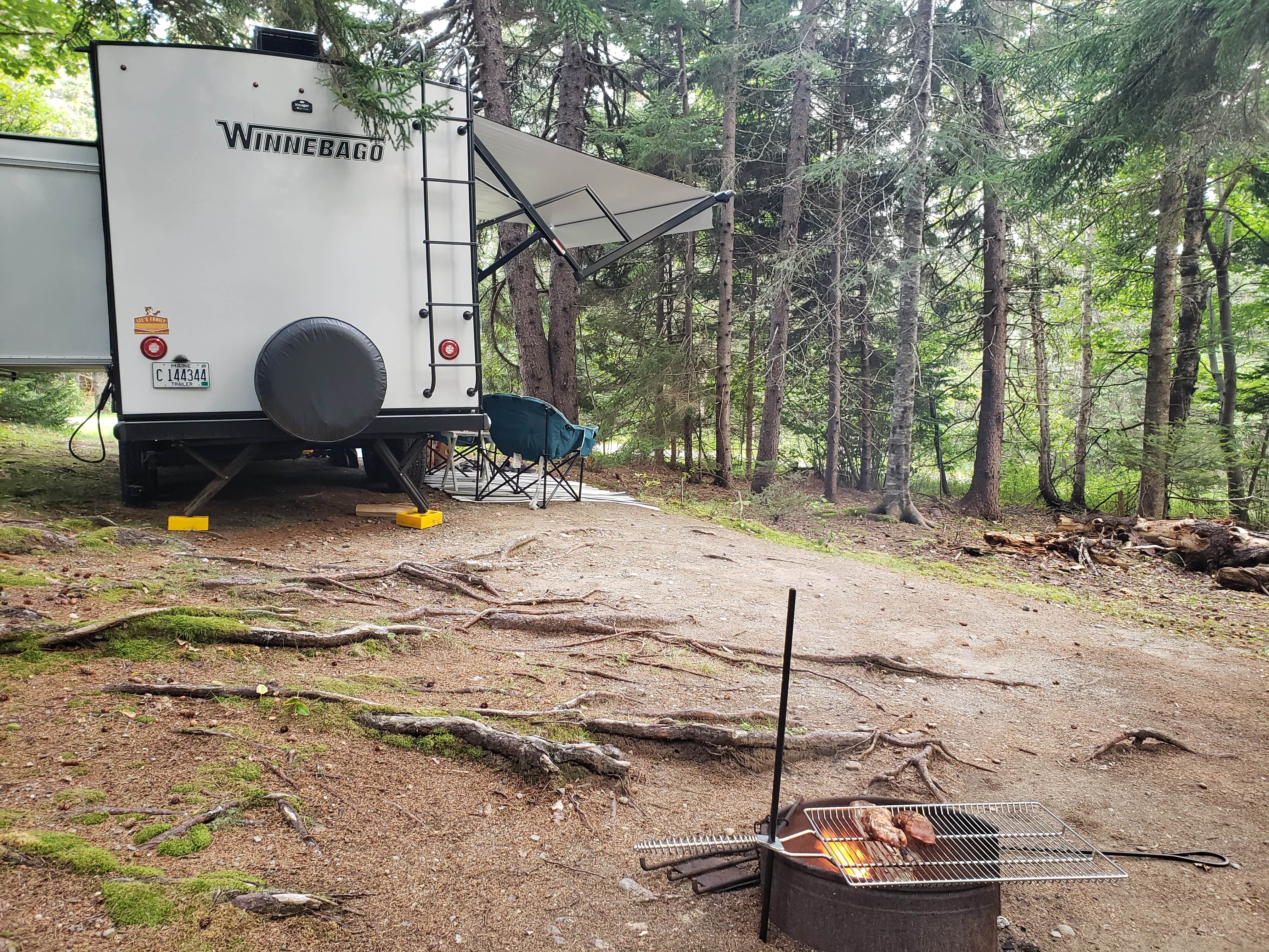 Joe R.'s photo of rv camping at Cobscook Bay State Park Campground near Whiting, ME
