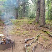 Review photo of Cobscook Bay State Park by Joe R., August 16, 2021