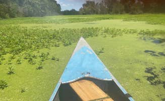 Brian O.'s photo of tent camping at McKinley Woods: Frederick's Grove near North Utica, IL