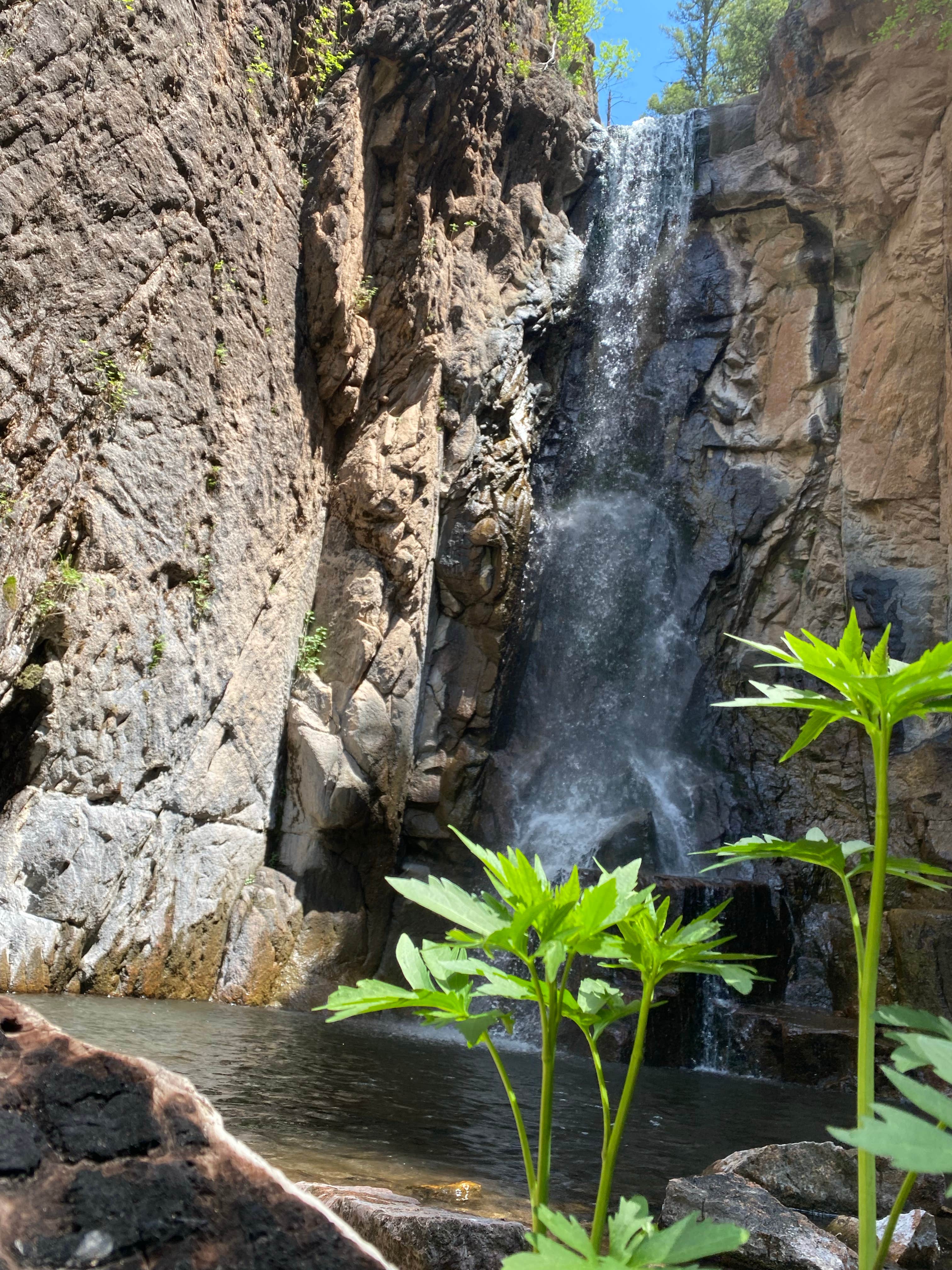 Camper-submitted photo at Rio Puerco Campground near Abiquiu Lake