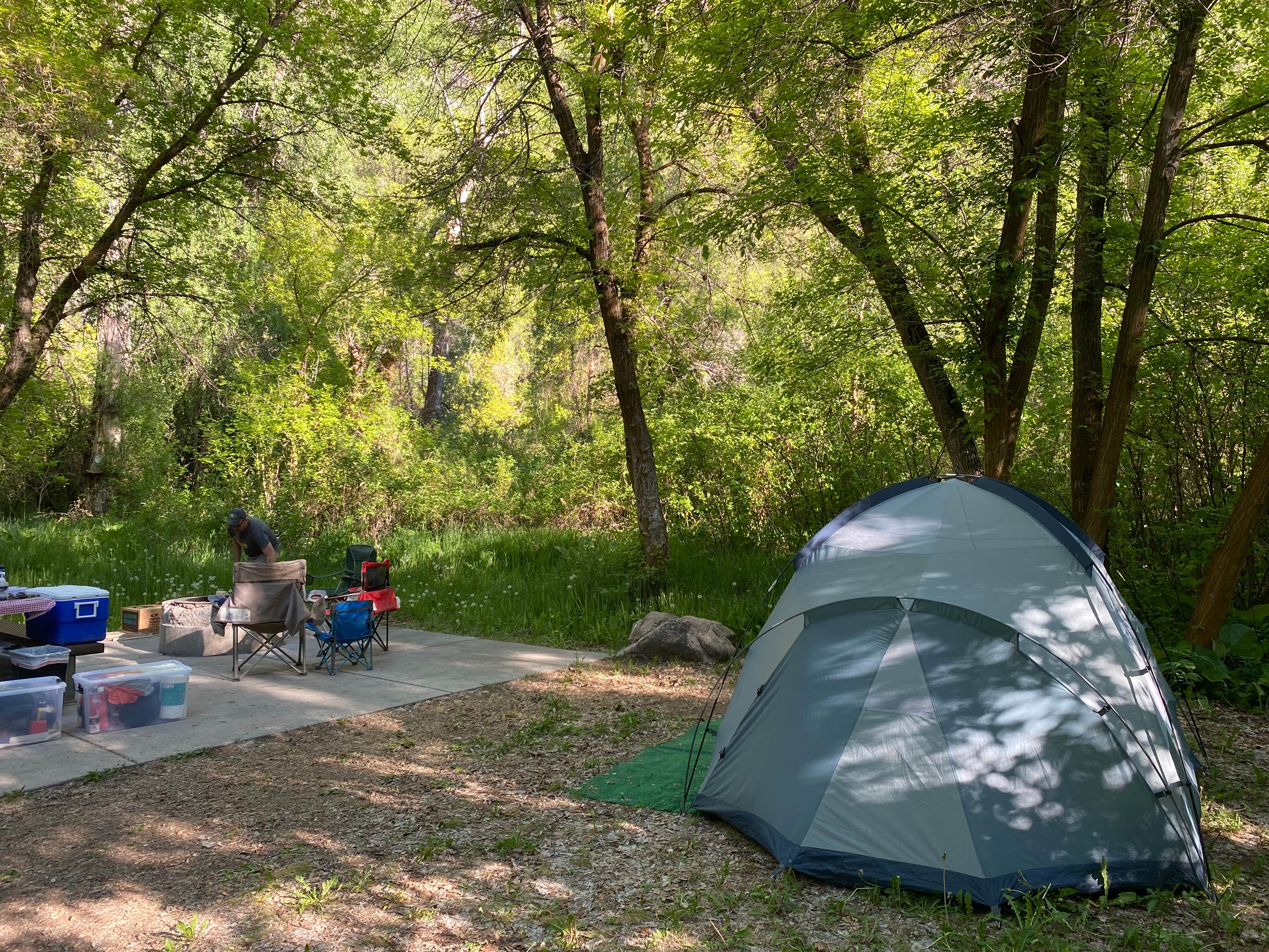 Camper submitted image from Magpie Campground - 5