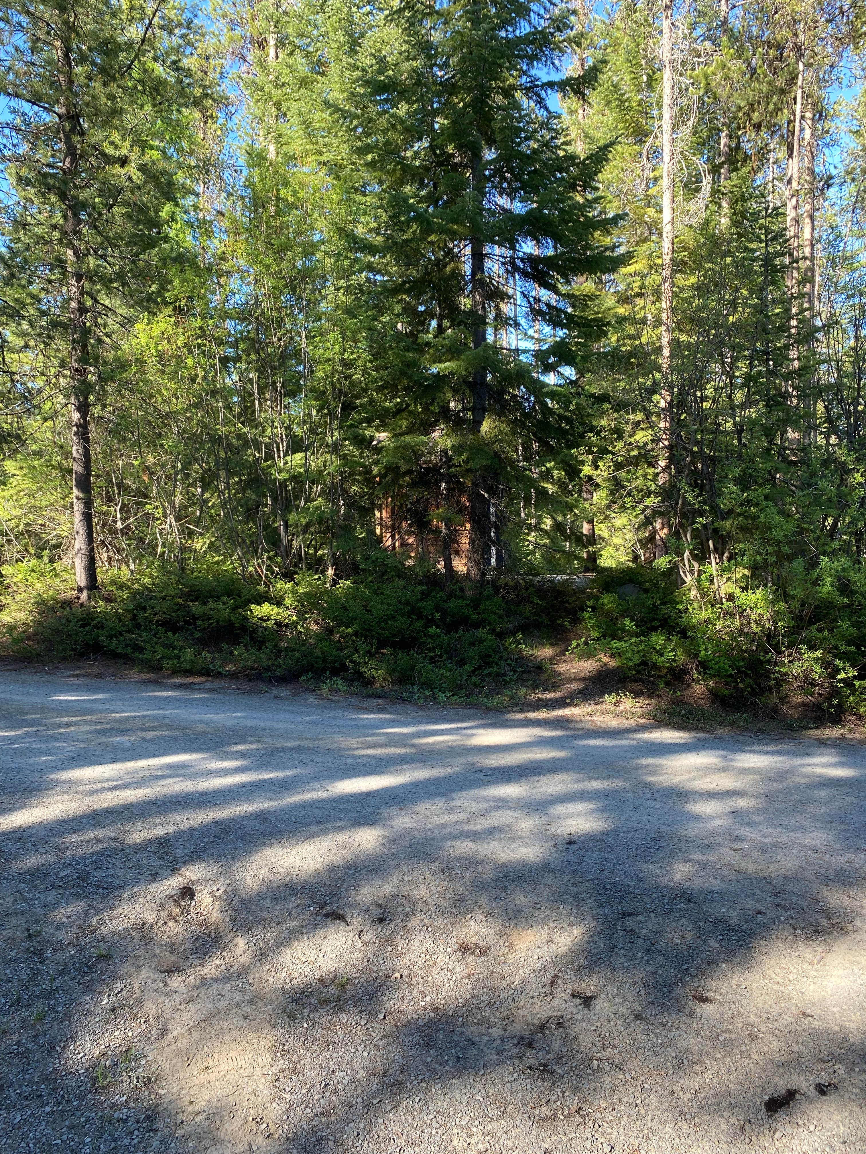 Camper-submitted photo at Dixie Campground near John Day, OR