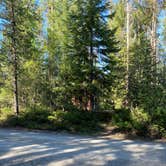 Review photo of Dixie Campground by Kiri , August 16, 2021