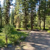 Review photo of Dixie Campground by Kiri , August 16, 2021