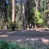 Review photo of Hawleys Landing Campground — Heyburn State Park by Linda Y., August 16, 2021