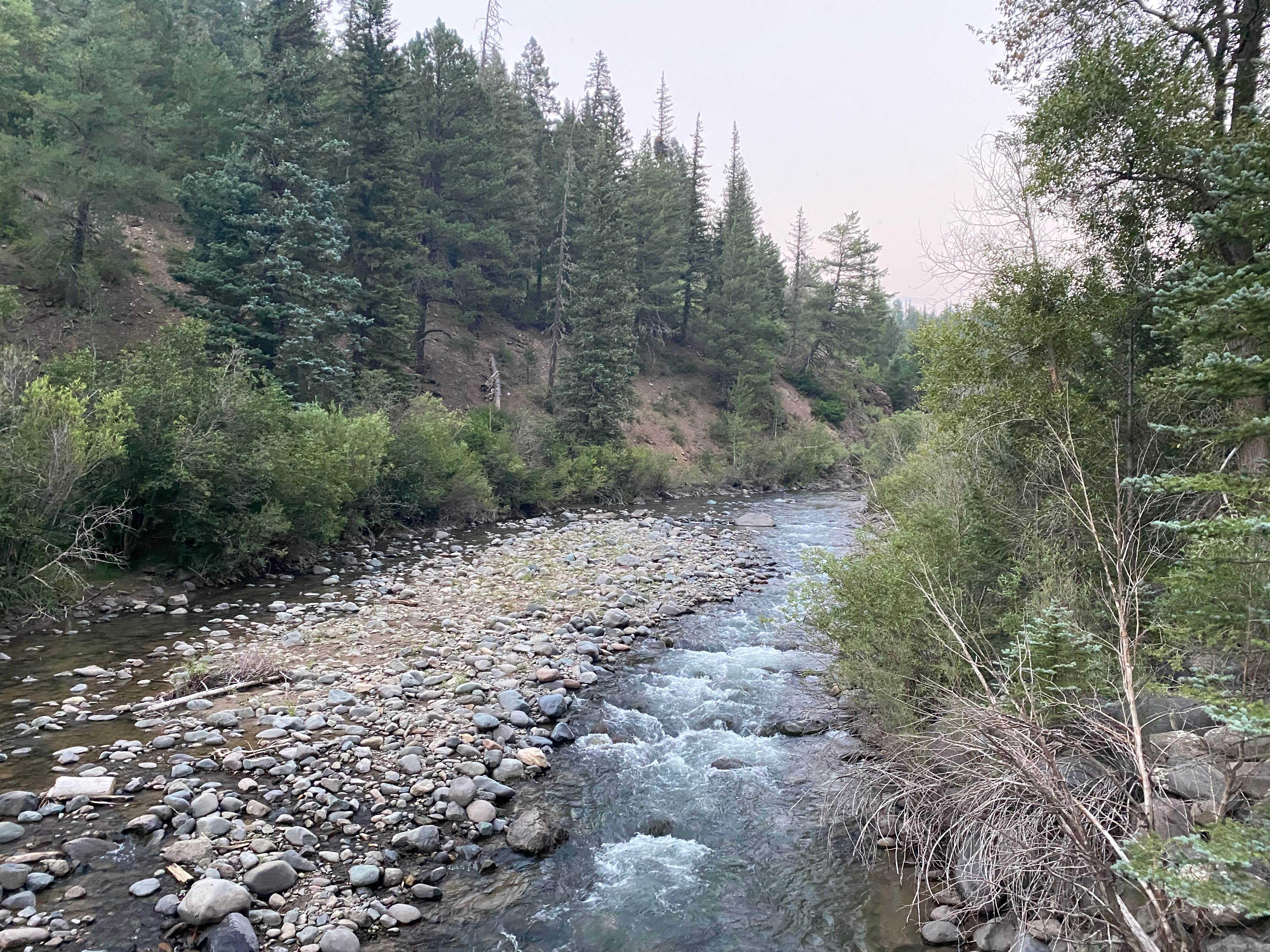 Camper submitted image from East Fork San Juan River, USFS Road 667 - Dispersed Camping - 4