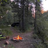 Review photo of East Fork San Juan River, USFS Road 667 - Dispersed Camping by David , August 16, 2021