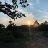 Review photo of Madden Peak Road - Dispersed by David , August 16, 2021