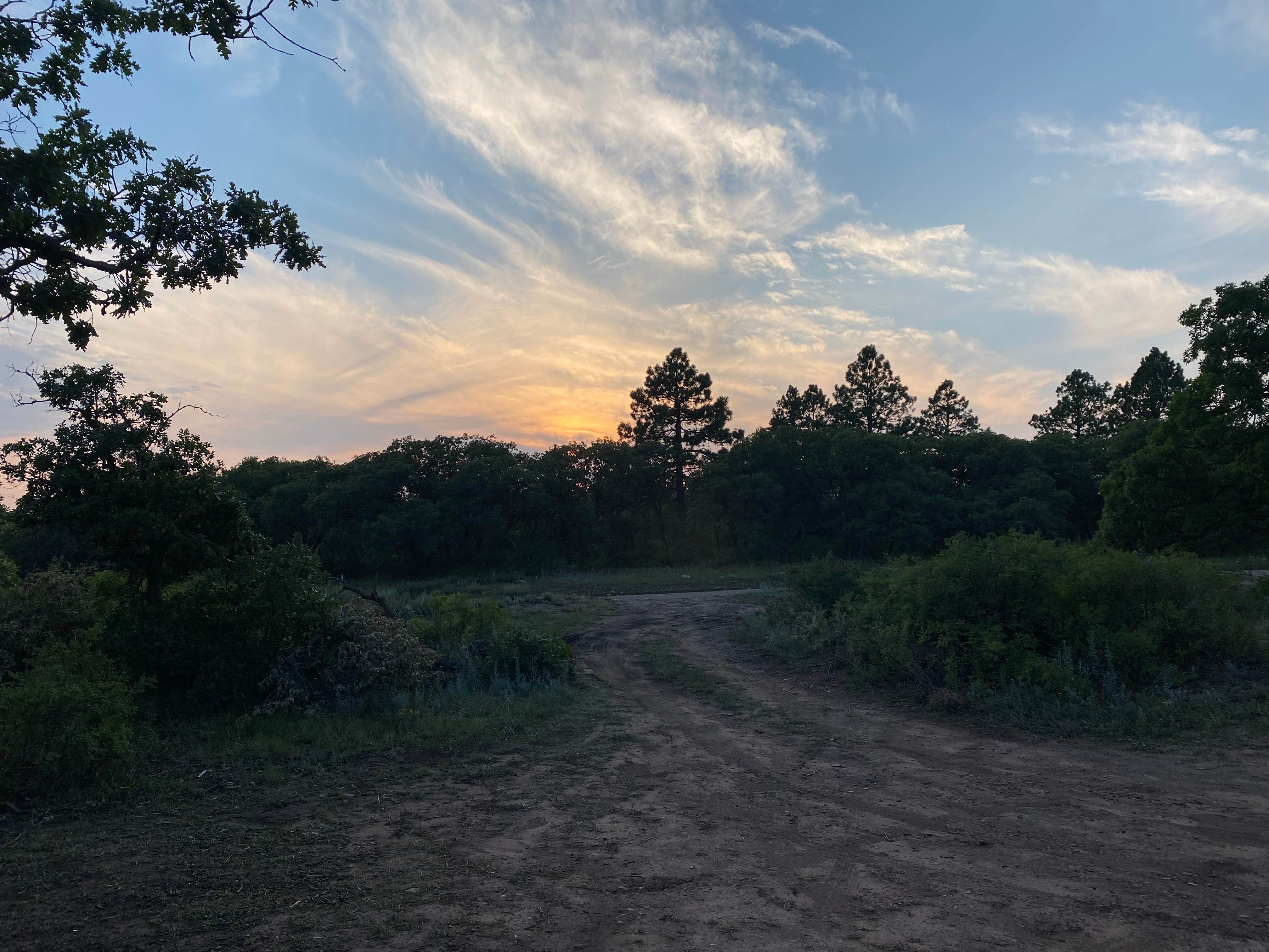 David's photo of a dispersed camping area at Madden Peak Road - Dispersed near Towaoc, CO