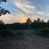 Review photo of Madden Peak Road - Dispersed by David , August 16, 2021