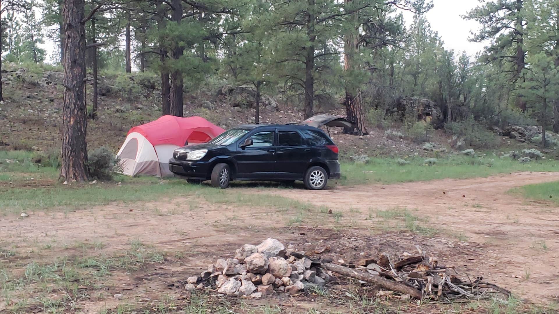 Wally B.'s photo of a dispersed camping area at Forest Service Road 302 Dispersed near Tuba City, AZ