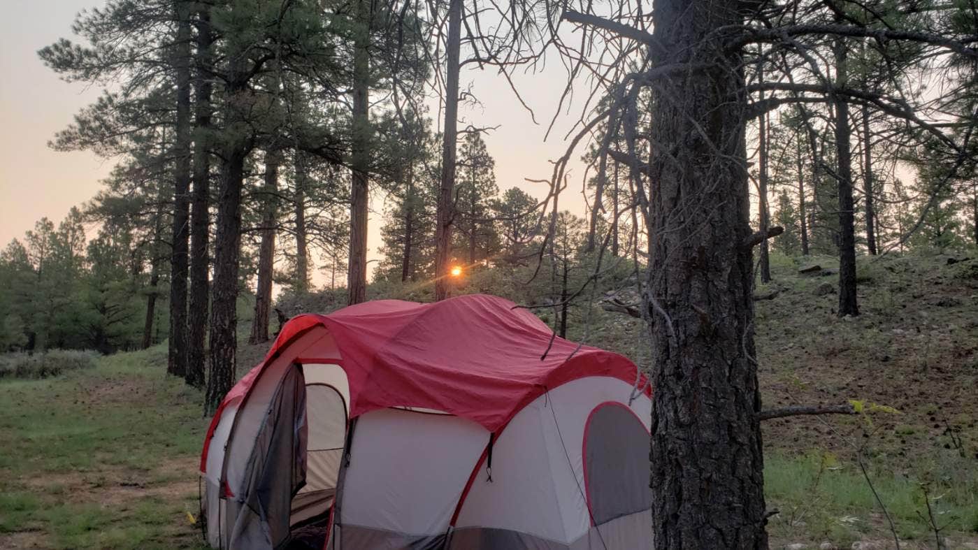 Camper submitted image from Forest Service Road 302 Dispersed - 5