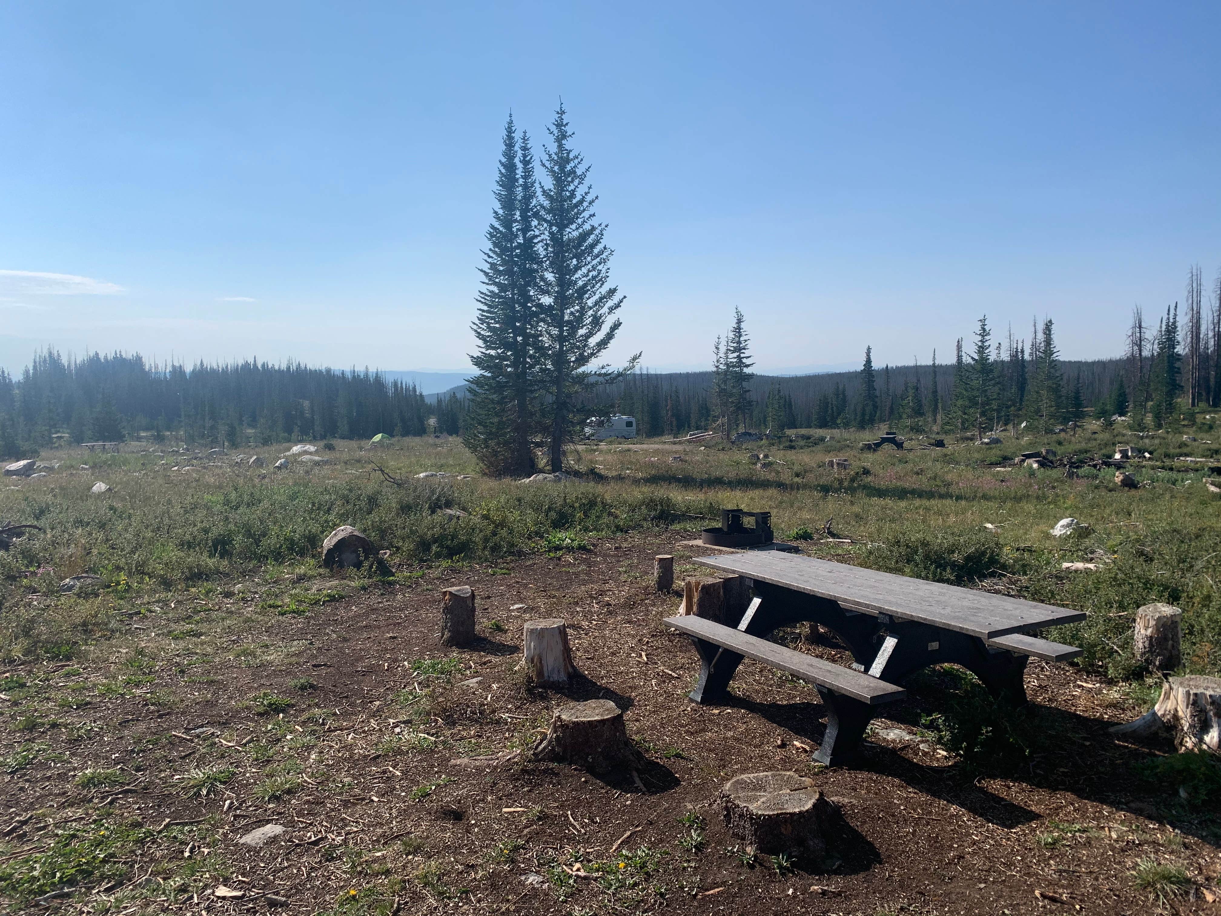 Camper submitted image from Nash Fork Campground - 2