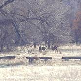 Review photo of Three Island Crossing State Park Campground by Mike E., August 16, 2021