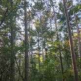 Review photo of Pinewoods Campground — Kettle Moraine State Forest-Southern Unit by Kendal R., August 16, 2021