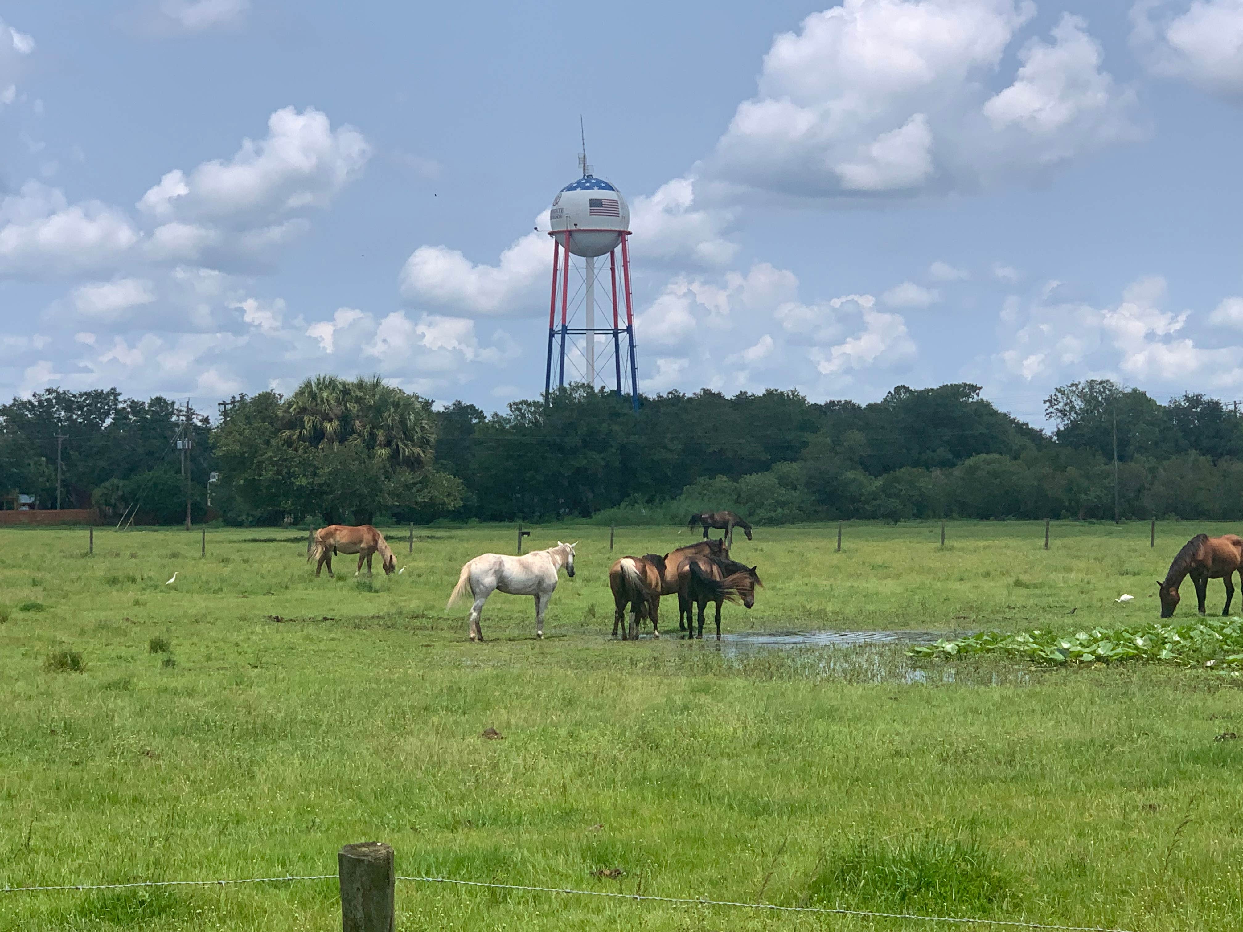 River Ranch RV Resort The Dyrt