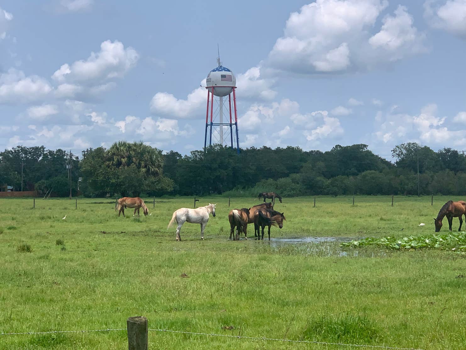 River Ranch Rv Park Florida