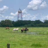 Review photo of River Ranch RV Resort by Julie M., August 16, 2021