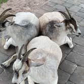 Review photo of River Ranch RV Resort by Julie M., August 16, 2021