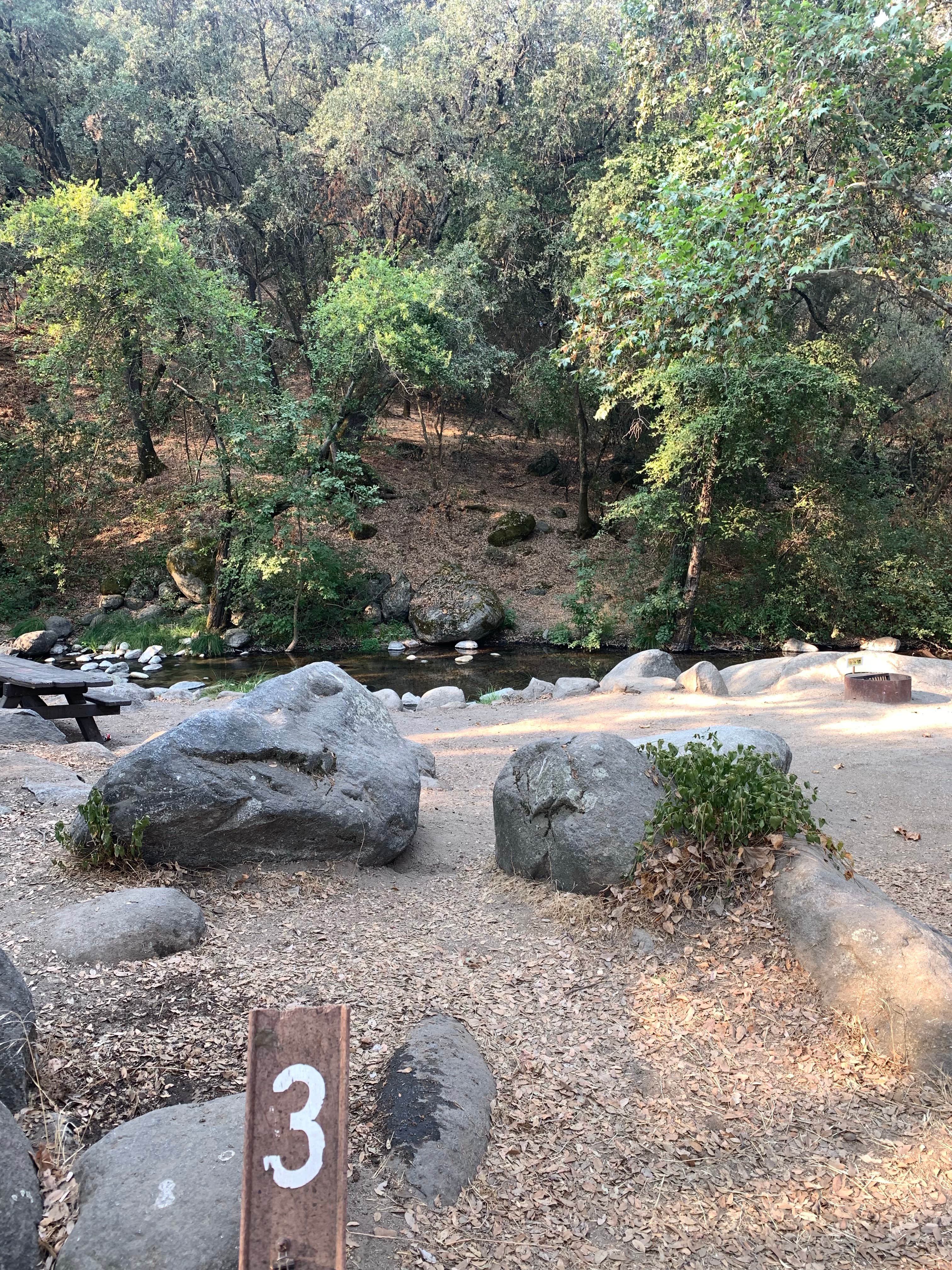 Camper submitted image from Leavis Flat Campground - 3