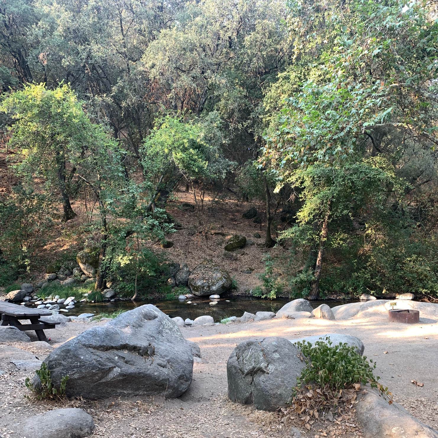 Best camping near Visalia, California | The Dyrt