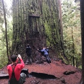 Review photo of Jedediah Smith - Redwood National and State Park by George B., June 19, 2018